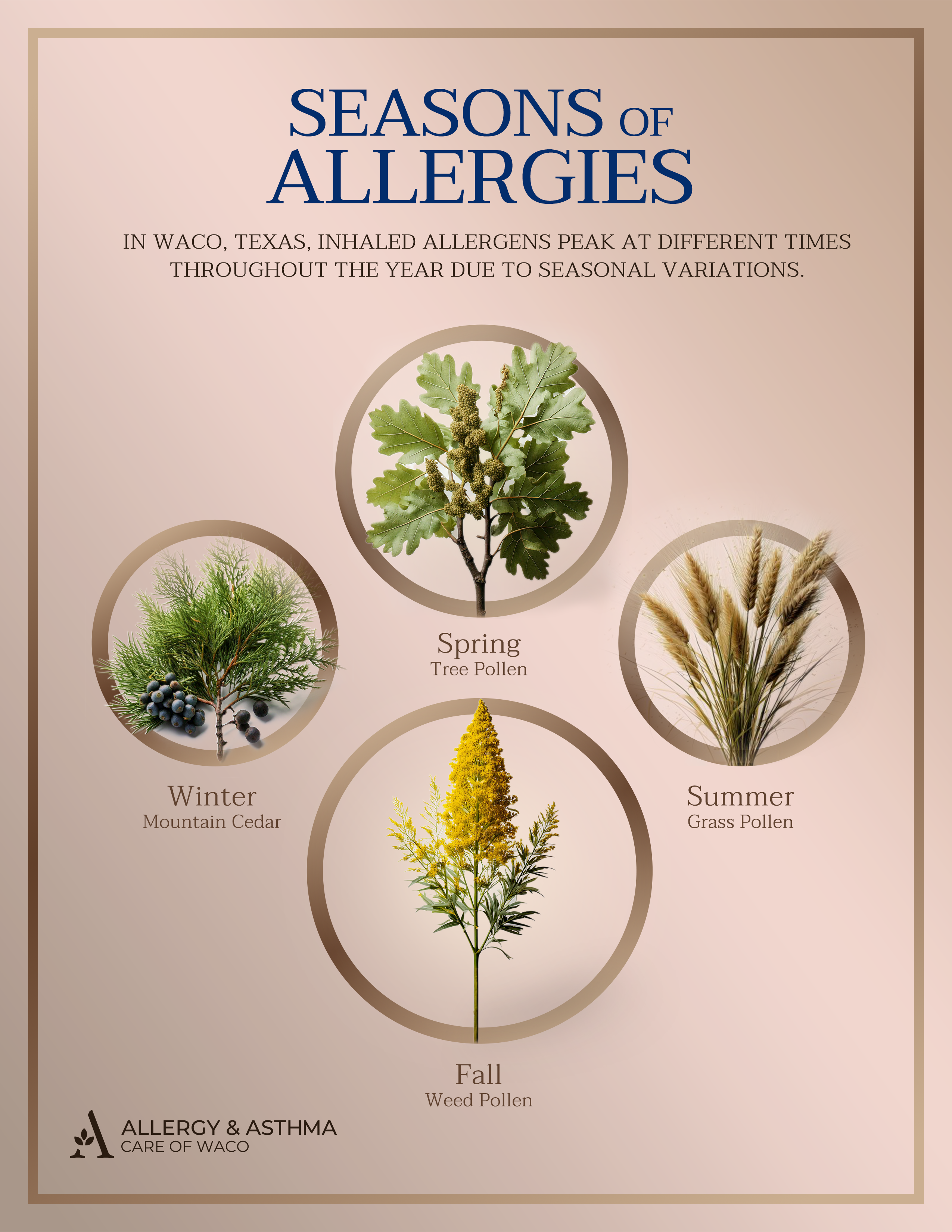 Allergy & Asthma Care of Waco