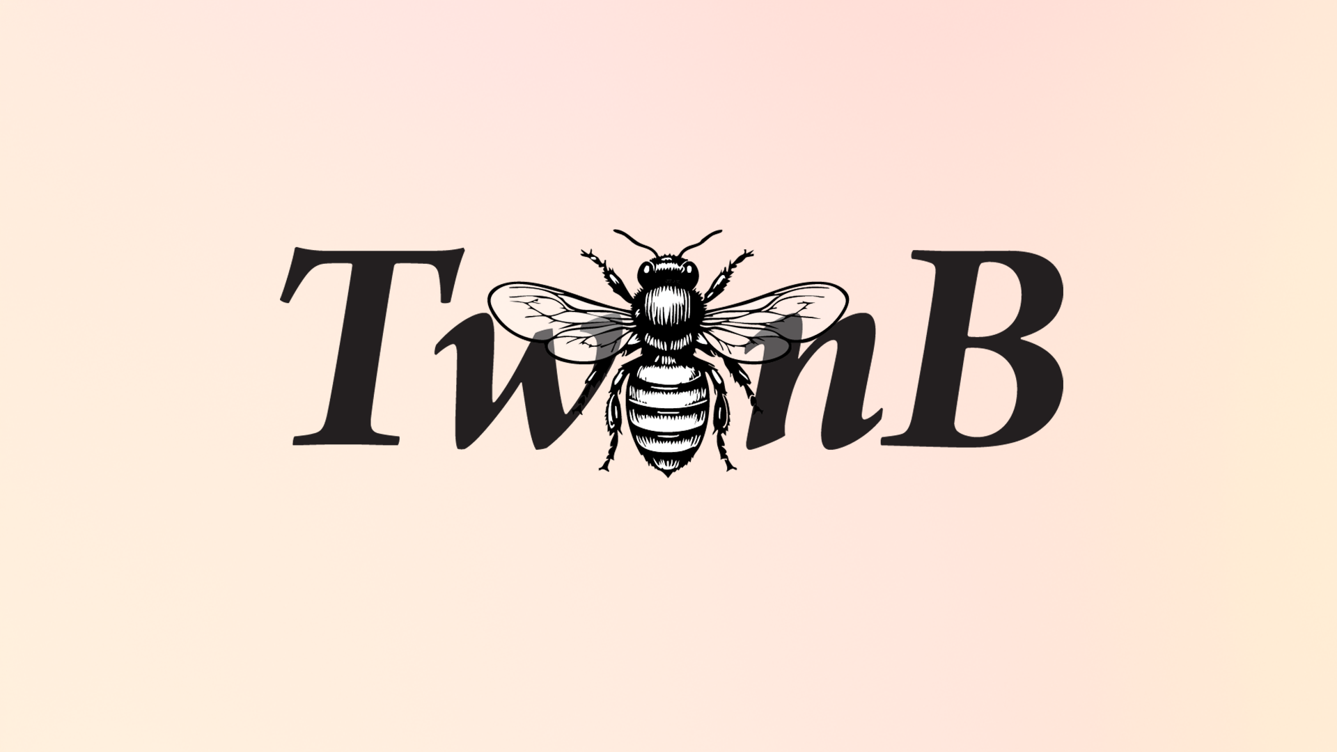 TwinB