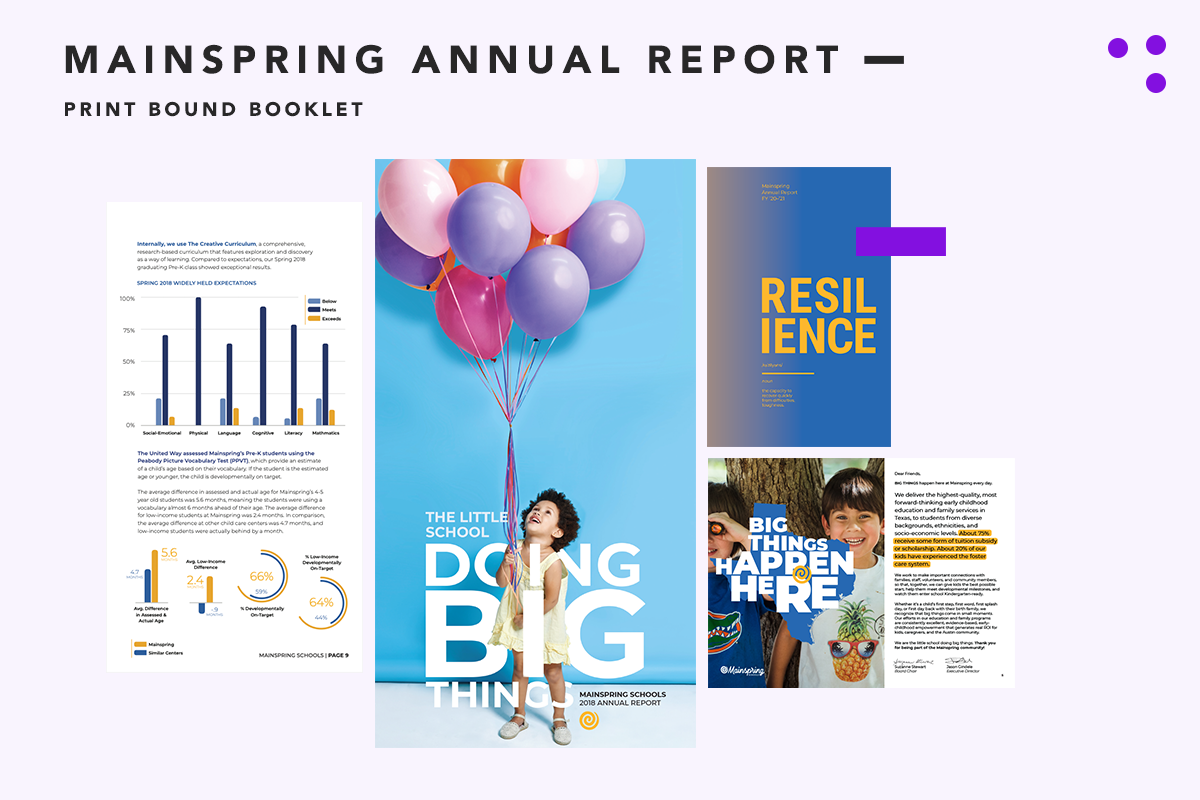 Mainspring_Annual Reports